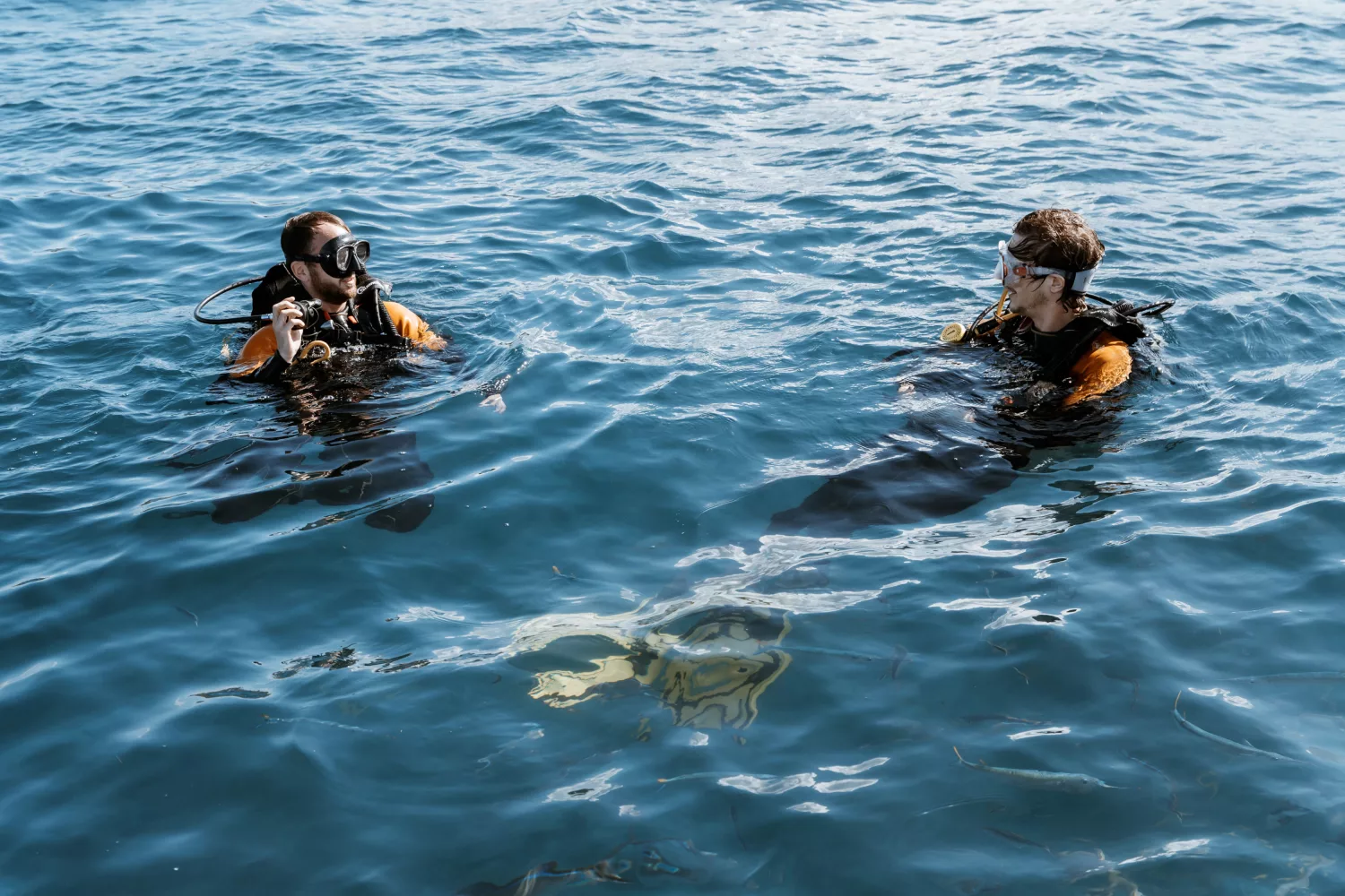 Taucher im Wasser in der Nähe von Trinidad