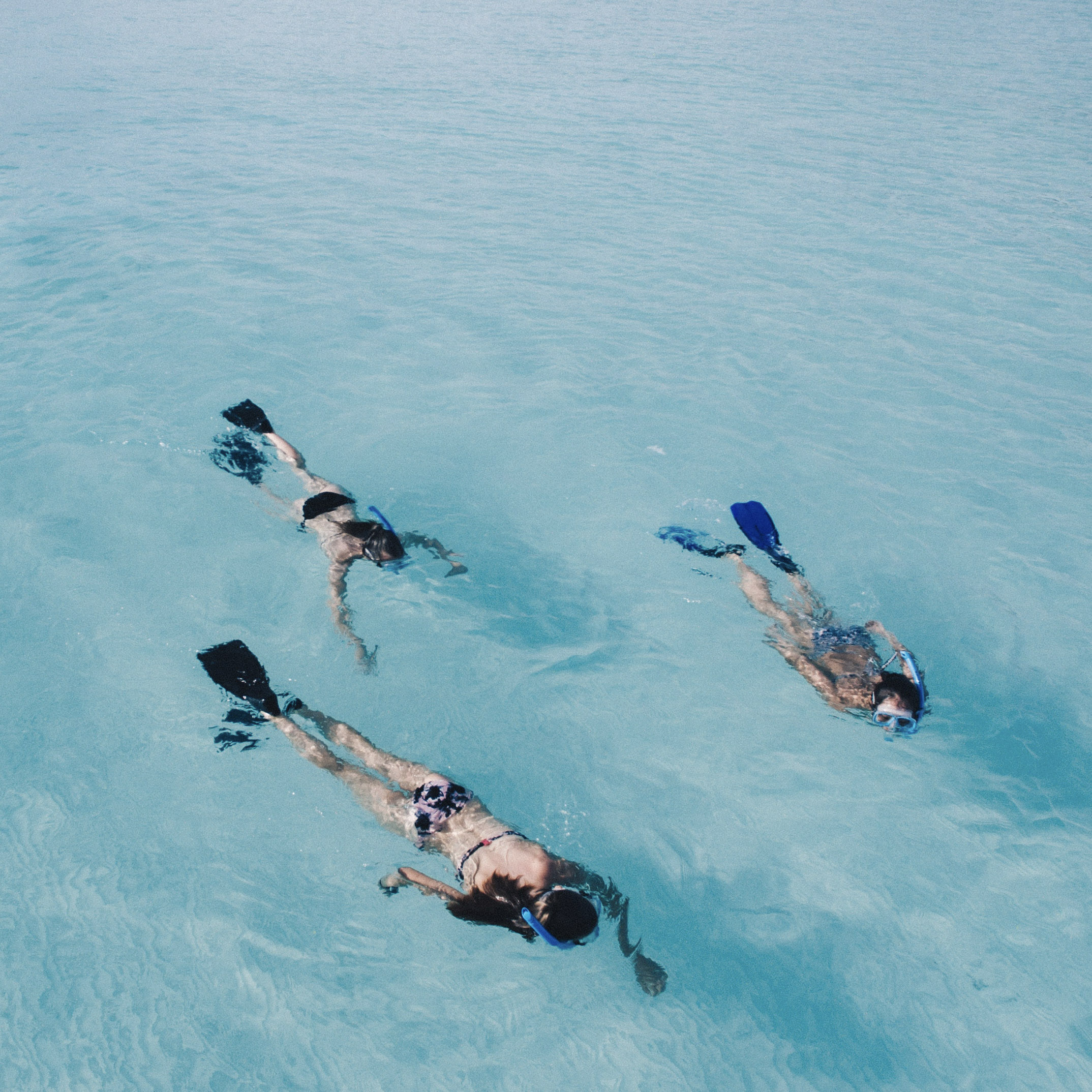 Drei Personen beim Schnorcheln in Kuba