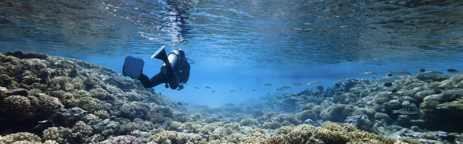 Taucher im Korallenriff in Kuba